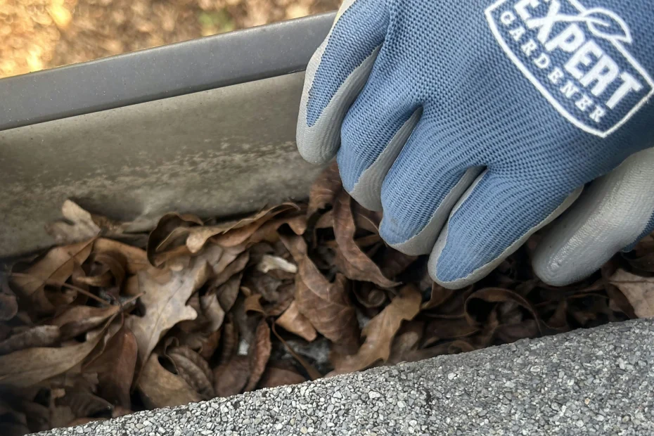 Gutter Cleaning Madisonville